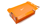 Lebron 9 Low "Arnold Palmer" 338141 836 C