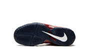 Little Posite Pro (GS) "USA" CZ2520 600