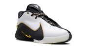 LeBron 22 "Mogul" HV8454 100