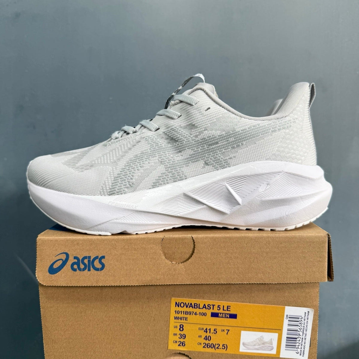 ASICS NOVABLAST 5 LE White Running Shoes
