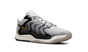 KD 17 "Light Iron Ore / Metallic Gold" FJ9487 003