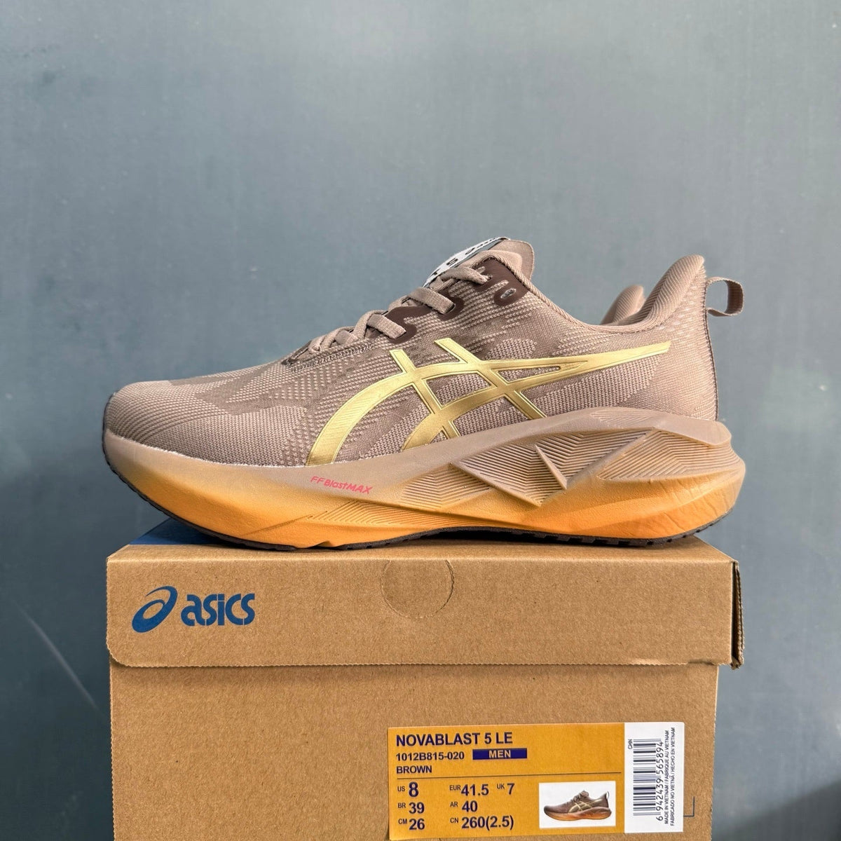 ASICS NOVABLAST 5 LE Brown Running Shoes