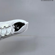 Nike ACG Zegama Trail Running Shoes HV8113-111