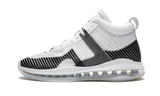 Lebron Icon QS "John Elliot" AQ0114 100