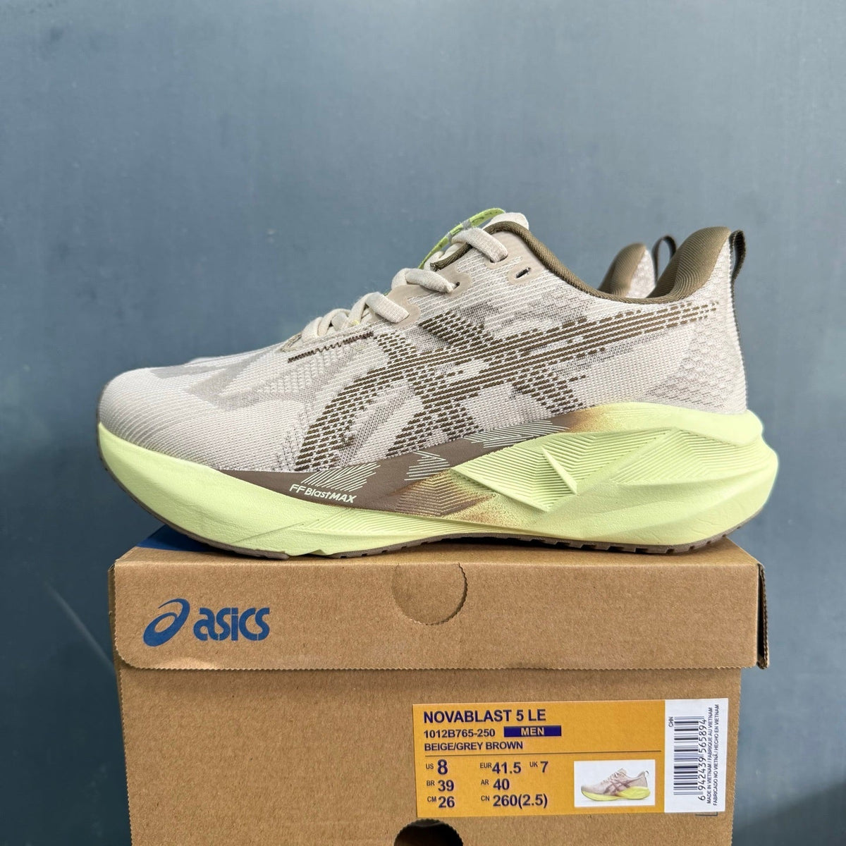 ASICS NOVABLAST 5 LE Beige Grey Brown Running Shoes