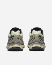 XT-6 GTX Asparragus Tea Brown Choco