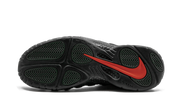 Air Foamposite Pro "Sequoia" 624041 304