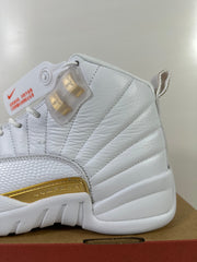 Jordan Air Jordan 12 Phantom White Metallic Gold Sneakers FD9101-007