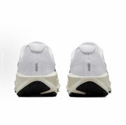 Nike Downshifter 13 Running Shoes White Silver FD6476-100