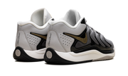 KD 17 "Light Iron Ore / Metallic Gold" FJ9487 003