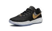 LeBron 20 "Black/Metallic Gold" DJ5423 003