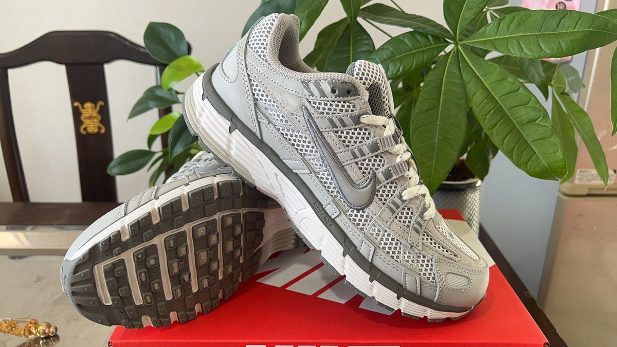 Nike P-6000 Sneakers Light Grey FN6837-012