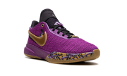 LeBron 20 GS "Young Heirs" FD0207 500