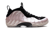 Air Foamposite One "DMV Cherry Blossom" HJ4187 001