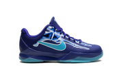 Kobe 5 GS "X-Ray" HM9522 400