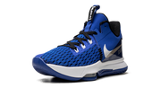 LeBron Witness V CQ9380 400
