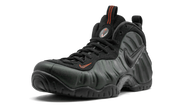 Air Foamposite Pro "Sequoia" 624041 304