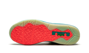 LeBron 9 Low "LeBronald Palmer" DO9355 300
