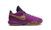 LeBron 20 GS "Young Heirs" FD0207 500