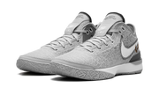 Zoom LeBron NXXT Gen "Wolf Grey Metallic Gold" DR8784 004