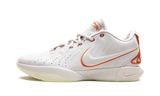 LeBron 21 "Akoya" FV2345 001