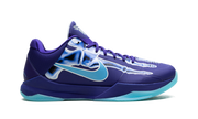 Zoom Kobe 5 Protro "X-Ray" HJ4303 400